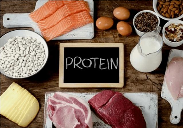 Produtos da dieta proteica