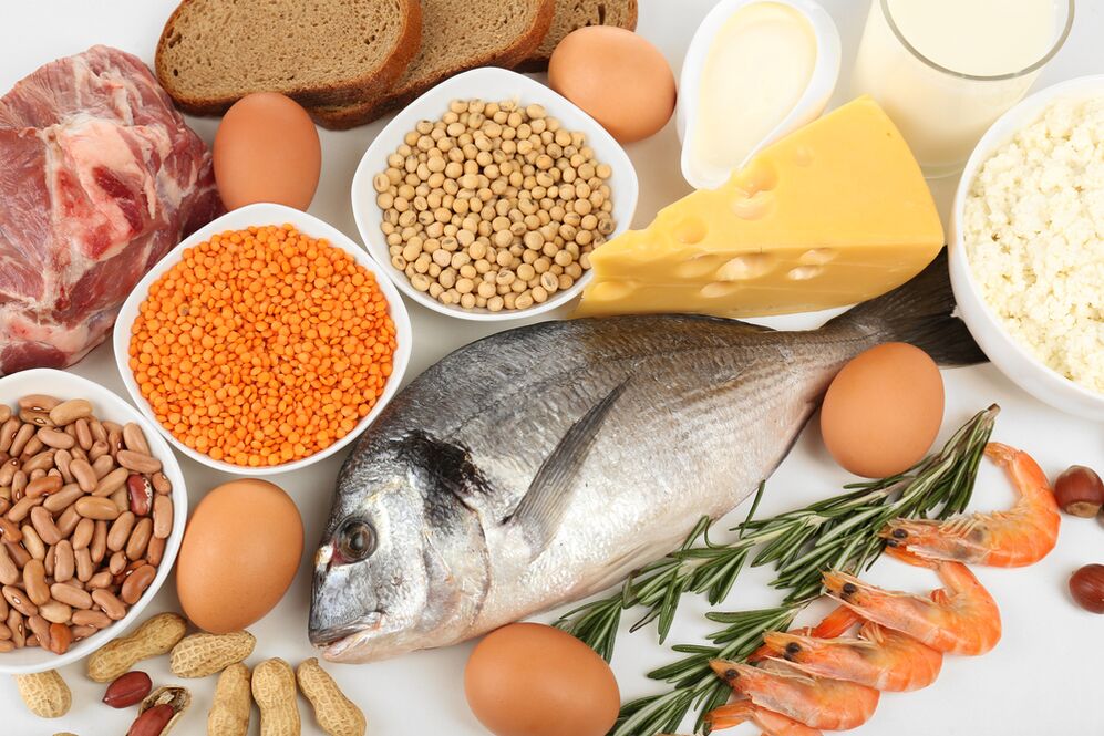 Características de uma dieta proteica